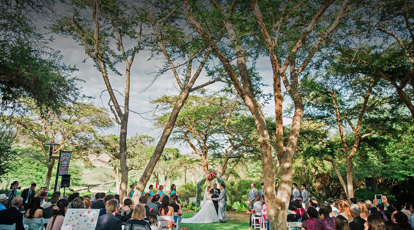 Wedding ceremony at Harusi Lawn