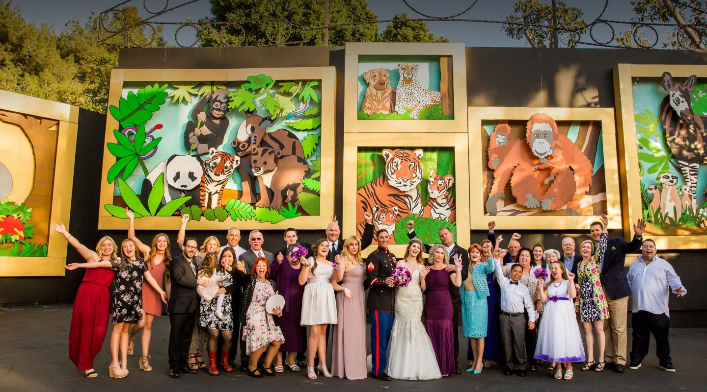 wedding guests in front of animal scenes in Zoofari Party Area