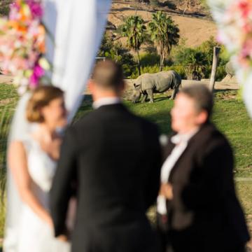 Ceremony with Rhino in background at Kijamii Overlook