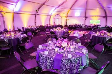 ZPA tent inside with purple and zebra