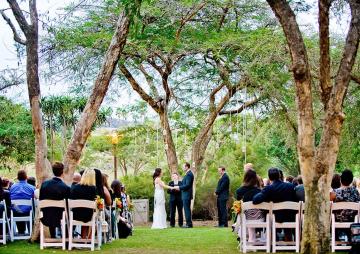 Bride and groom exchanging vows in front of small lanterns hung on an acacia tree.