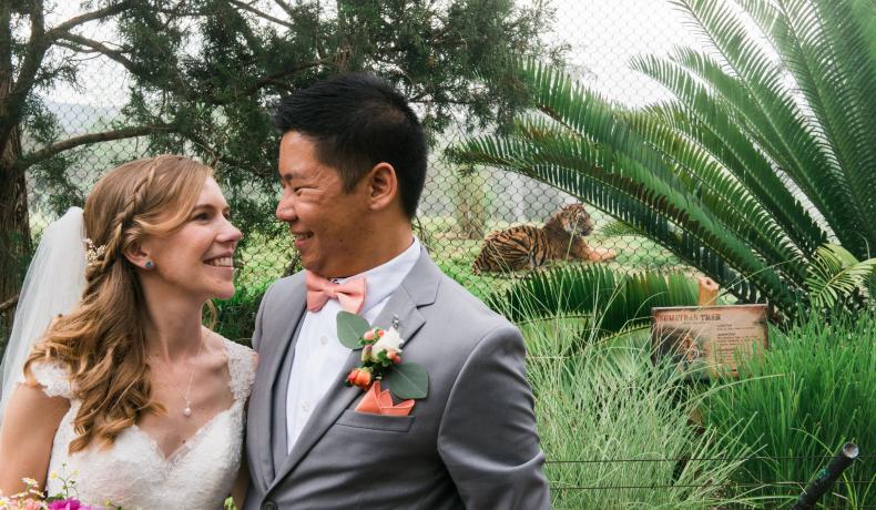 wedding couple with tiger in background