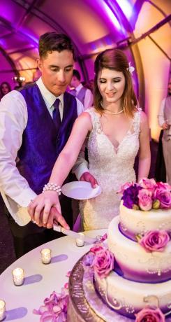 True Photography bride and groom cut the cake