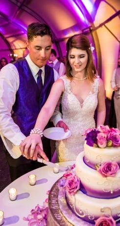 bride and groom cut the cake