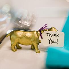 Shelly Anderson Photography thank you note