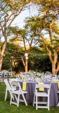 Venue: Harusi Lawn Photo: Photography harris lawn
