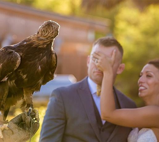 True Photography couple visits with a hawk